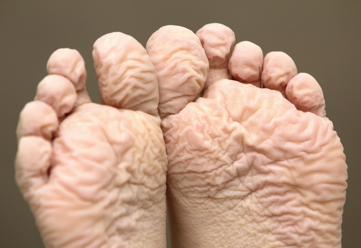 La piel tiene una capa grasa en toda su extensión llamada sebo que es la encargada de hacer el efecto impermeable.