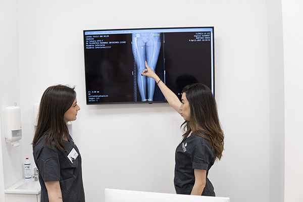 podoactiva guadalajara